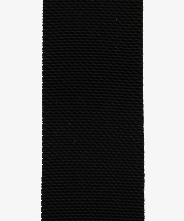 Nassau-Dillenburg, Medal of the Golden French Horn (71)